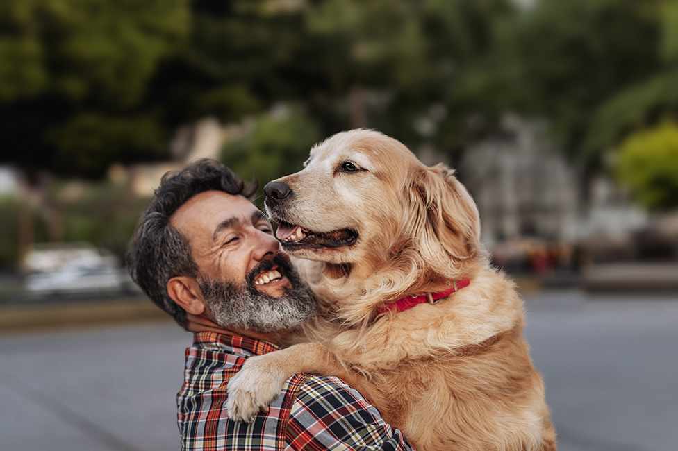 middle aged white male holding a very large golden retriever dog